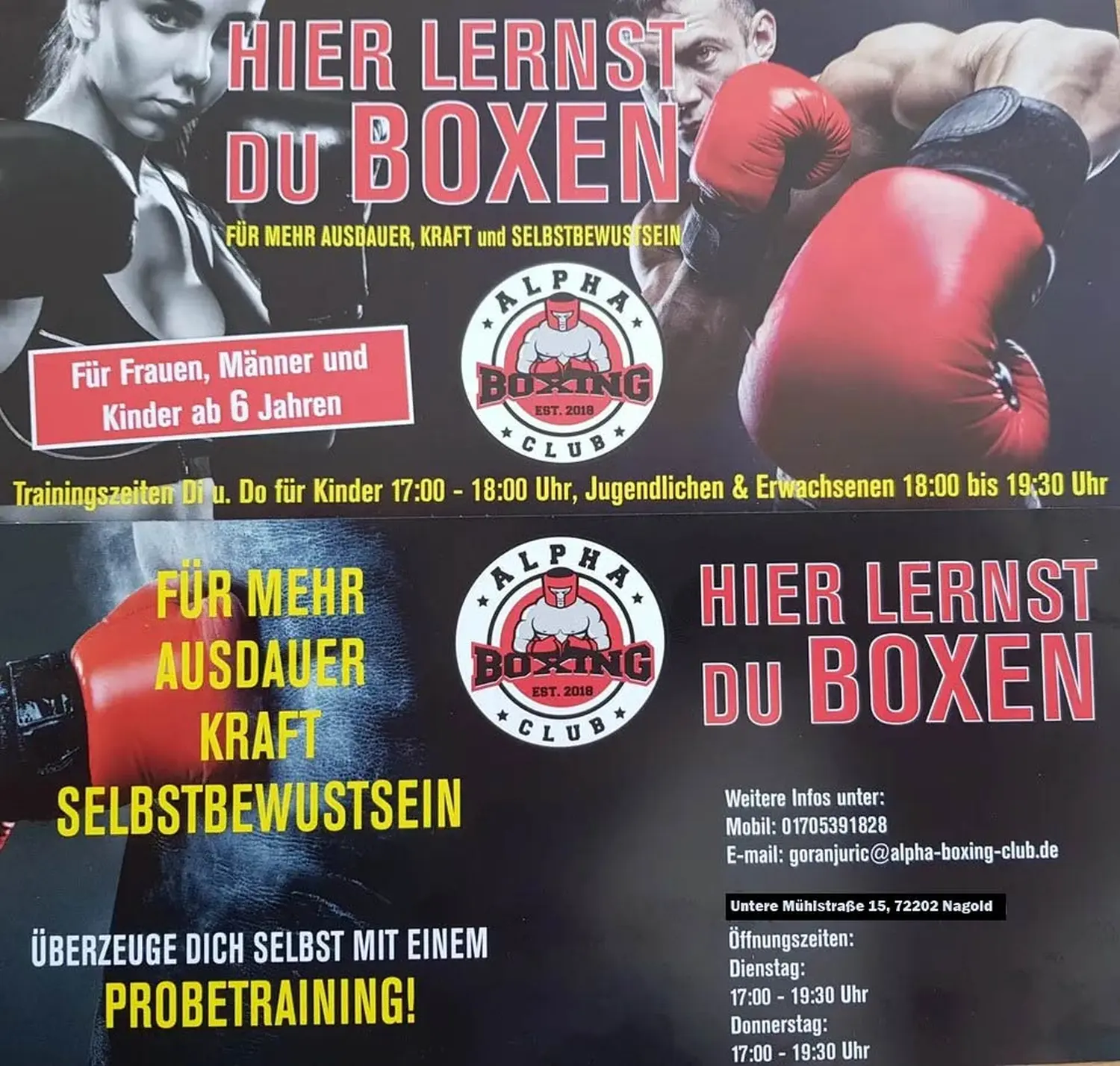 Kampfsport